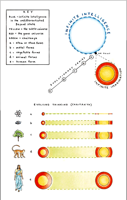 Evolutionary Series